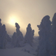 Illustration for article titled Snow monsters rise across Japan